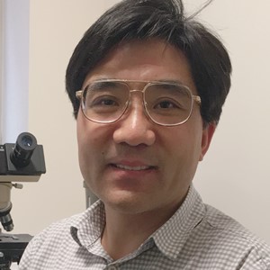 Qingde Wang, MD, PhD