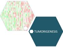 Tumorigenesis logo