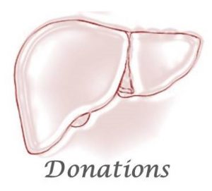 Liver illustration - Donations